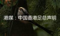 港媒：中国香港足总声明陈晋一已返回申花；无其他球员被召回