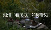 湖州“看见办”如何看见 ：20点播批评报道，21点须研究整改