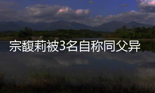 在公众的过往印象中
