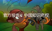 官方报告：中国知识产权公共服务能力和水平不断提升