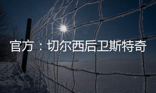 2022年夏天加盟切尔西