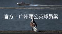 快排公司十年历程，霸屏兔 seo 的崛起与坚守