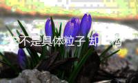 快排公司十年历程，霸屏兔 seo 的崛起与坚守