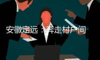安徽定远
：奔走村户间 算好脱贫账