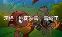 定格丨桃花映雪，雪域江南春意浓