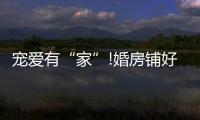 宠爱有“家”!婚房铺好世友地板
，就结婚吧
