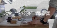 宠物“它经济”崛起 国产品牌快速追赶国际巨头｜“心”消费观察
