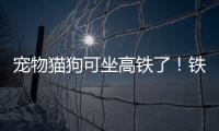 宠物猫狗可坐高铁了！铁路12306推出“宠物托运”功能