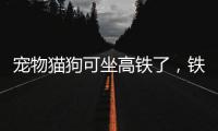 宠物猫狗可坐高铁了，铁路12306推出“宠物托运”功能