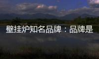 壁挂炉知名品牌
：品牌是“亮点” 售后服务树口碑