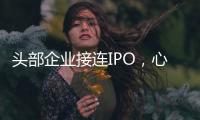 头部企业接连IPO�，心脏瓣膜行业为何这么热？