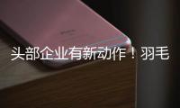 头部企业有新动作
！羽毛球又掀“涨价潮”
？
