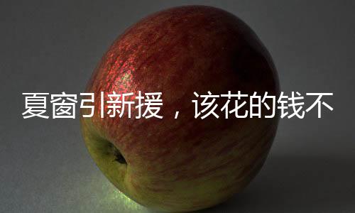 他为布雷达出场33次