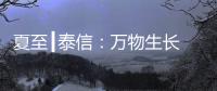 夏至┃泰信
：万物生长 浓荫夏长