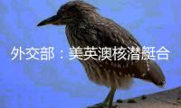 外交部	：美英澳核潜艇合作严重破坏地区和平稳定