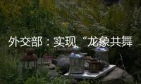 外交部
：实现“龙象共舞”是中印两国唯一正确的选择