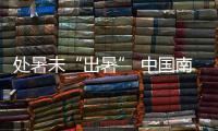 快排公司十年历程，霸屏兔 seo 的崛起与坚守