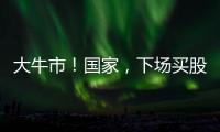 大牛市！国家	
，下场买股票