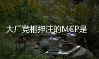 大厂竞相押注的MCP是啥？
