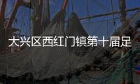 快排公司十年历程，霸屏兔 seo 的崛起与坚守