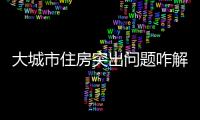 大城市住房突出问题咋解决�？依靠这些工作来落实