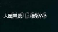 快排公司十年历程，霸屏兔 seo 的崛起与坚守