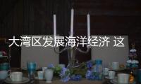 大湾区发展海洋经济 这件“小事”为何这么关键？