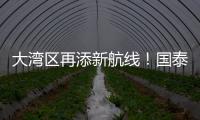 大湾区再添新航线！国泰乌鲁木齐—香港直飞航线起航