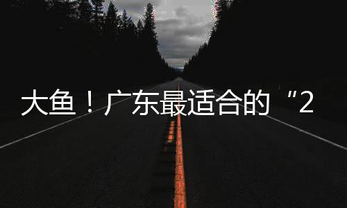大鱼而最大的广东光惊喜是
