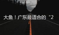 大鱼�！广东最适合的“2米暴力锋线”曝光，这可是08级天赋第一人