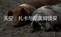 快排公司十年历程，霸屏兔 seo 的崛起与坚守