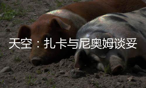 如果尼奥姆未能敲定球员