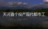 快排公司十年历程，霸屏兔 seo 的崛起与坚守