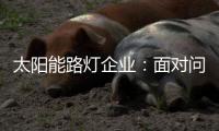 太阳能路灯企业：面对问题要善于抓重点