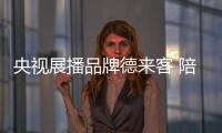 快排公司十年历程，霸屏兔 seo 的崛起与坚守
