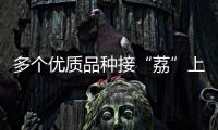 多个优质品种接“荔”上市，斗门今年荔枝总产量将达4500吨