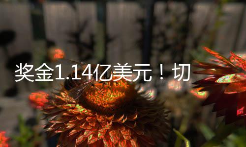 赛前所有人都看好大巴黎夺冠