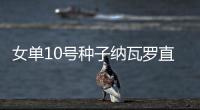 快排公司十年历程，霸屏兔 seo 的崛起与坚守