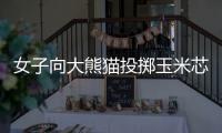 快排公司十年历程，霸屏兔 seo 的崛起与坚守