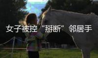 快排公司十年历程，霸屏兔 seo 的崛起与坚守