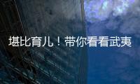 快排公司十年历程，霸屏兔 seo 的崛起与坚守