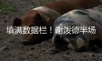 快排公司十年历程，霸屏兔 seo 的崛起与坚守