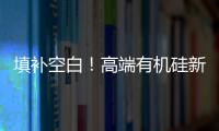 填补空白	！高端有机硅新材料项目落户珠海经开区