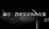 快排公司十年历程，霸屏兔 seo 的崛起与坚守