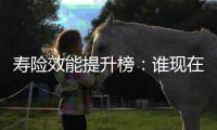 寿险效能提升榜
：谁现在领先
？谁拥有未来？