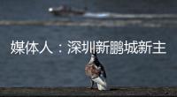 快排公司十年历程，霸屏兔 seo 的崛起与坚守