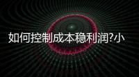 快排公司十年历程，霸屏兔 seo 的崛起与坚守