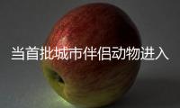 当首批城市伴侣动物进入暮年

	，“宠物协和”肿瘤医生看到这些