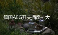 快排公司十年历程，霸屏兔 seo 的崛起与坚守