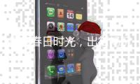 尽享春日时光，出街畅玩必备江博士儿童鞋